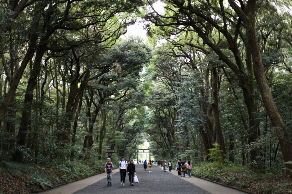 Things to Do in Tokyo - Meiji Shrine