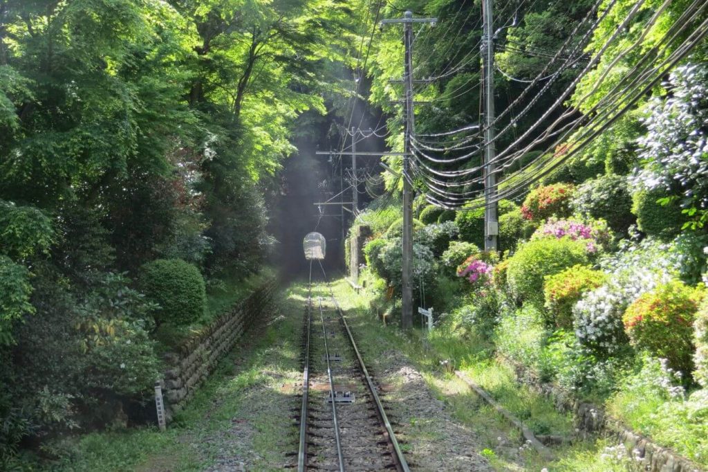 Things to Do in Tokyo - Mount Takao