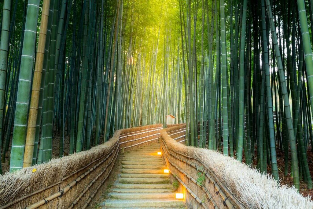 Things to Do in Kyoto - Arashiyama