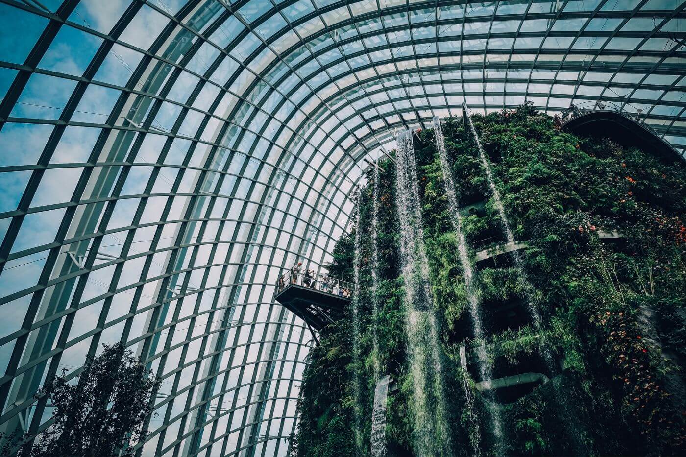 Cloud Forest-1 Things to do in Singapore - Cloud Forest-1