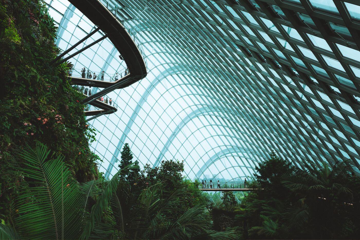 Cloud Forest-2 Things to do in Singapore -Cloud Forest-1