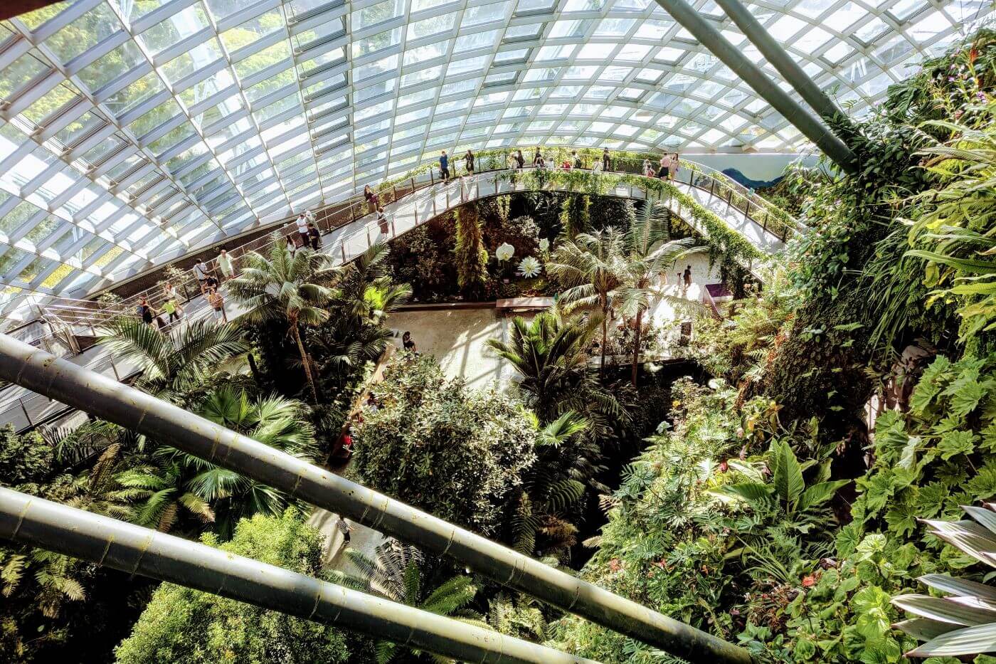 Cloud Forest-3 Things to do in Singapore - Cloud Forest-1