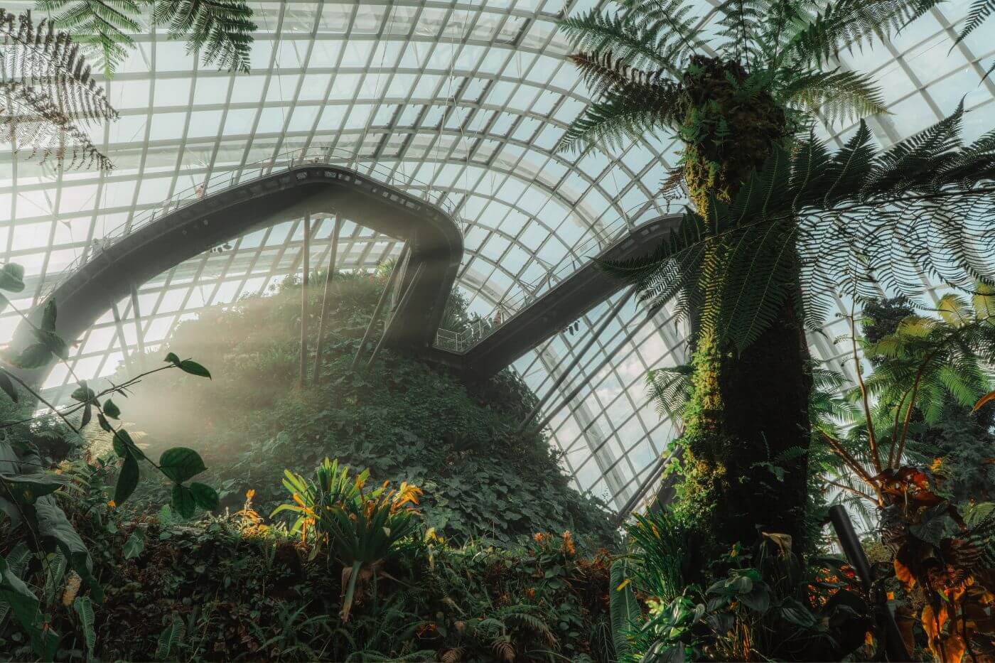 Cloud Forest-4 Things to do in Singapore - Cloud Forest-1