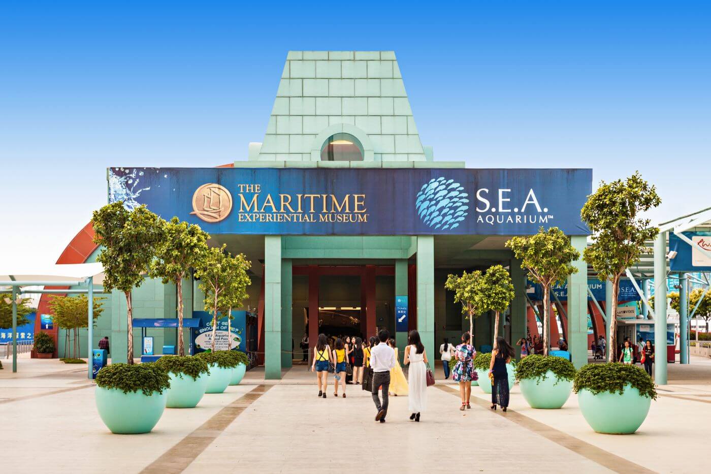 S.E.A. Aquarium-1 Things to do in Singapore - S.E.A. Aquarium