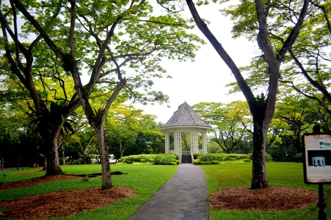 Singapore Botanic Gardens-1 Things to do in Singapore - Singapore Botanic Gardens