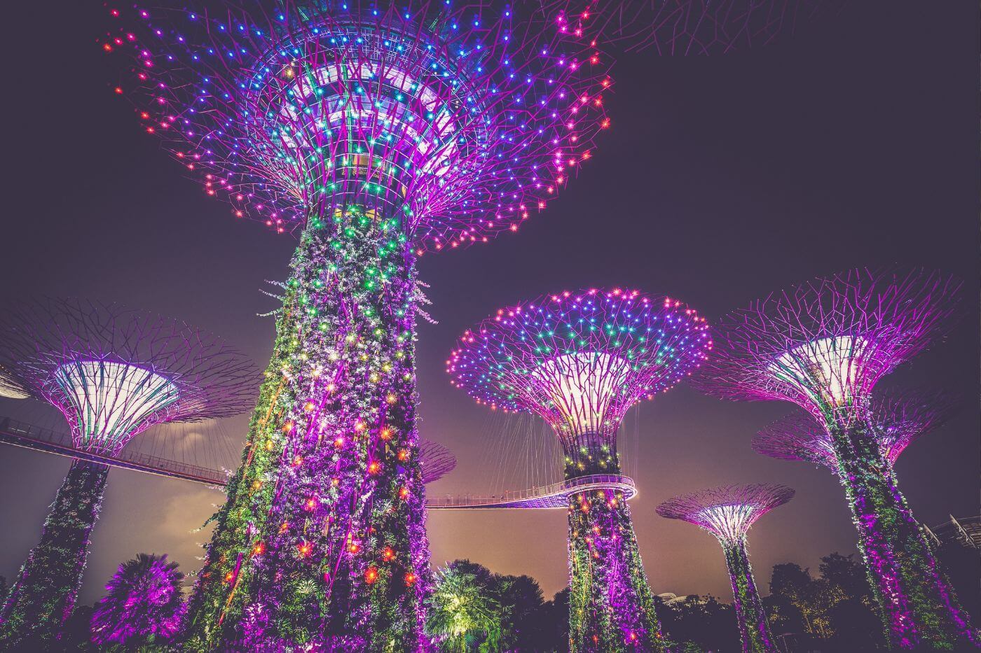 Supertree Grove-1 Things to do in Singapore - Supertree Grove