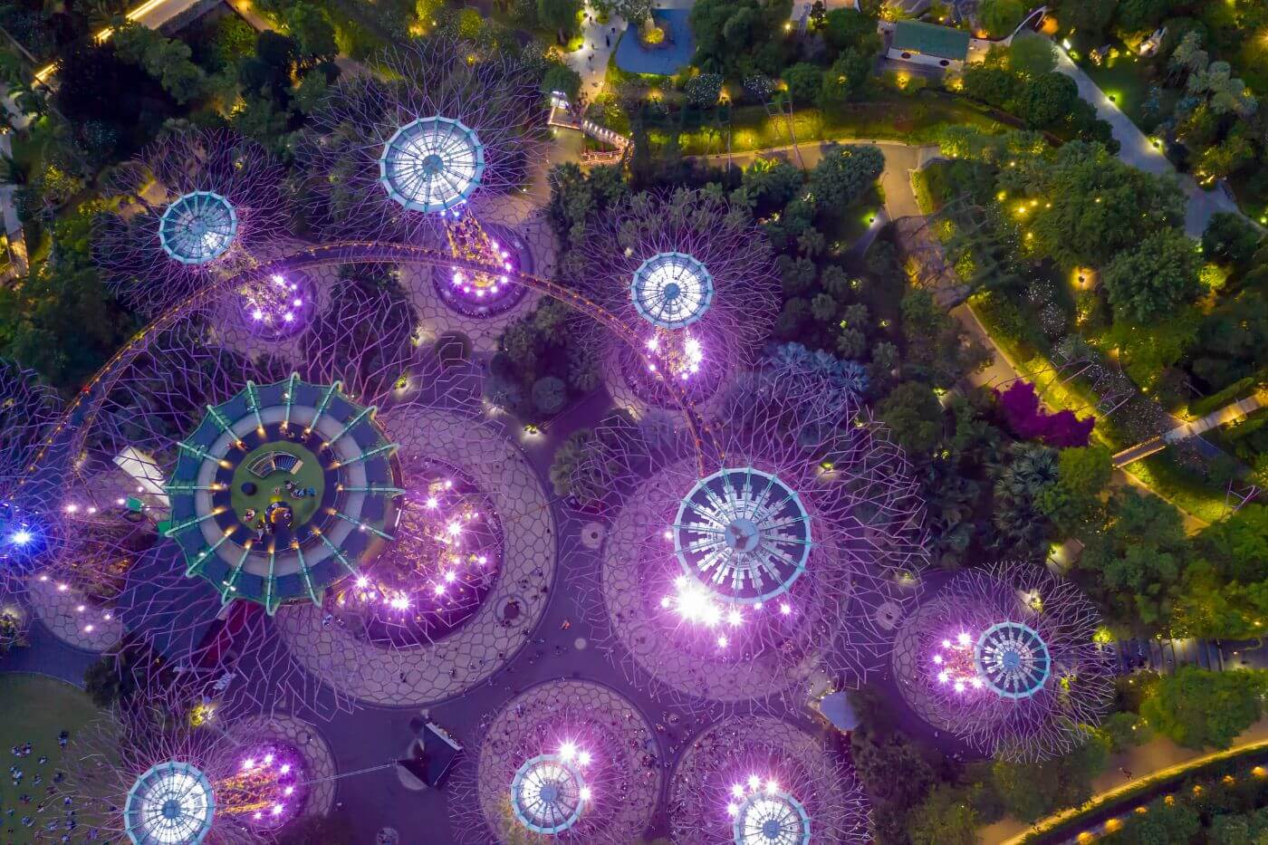 Supertree Grove-2 Things to do in Singapore - Supertree Grove