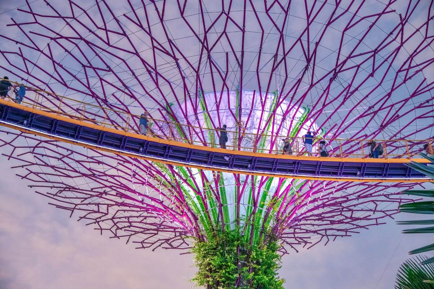 Supertree Grove-3 Things to do in Singapore - Supertree Grove