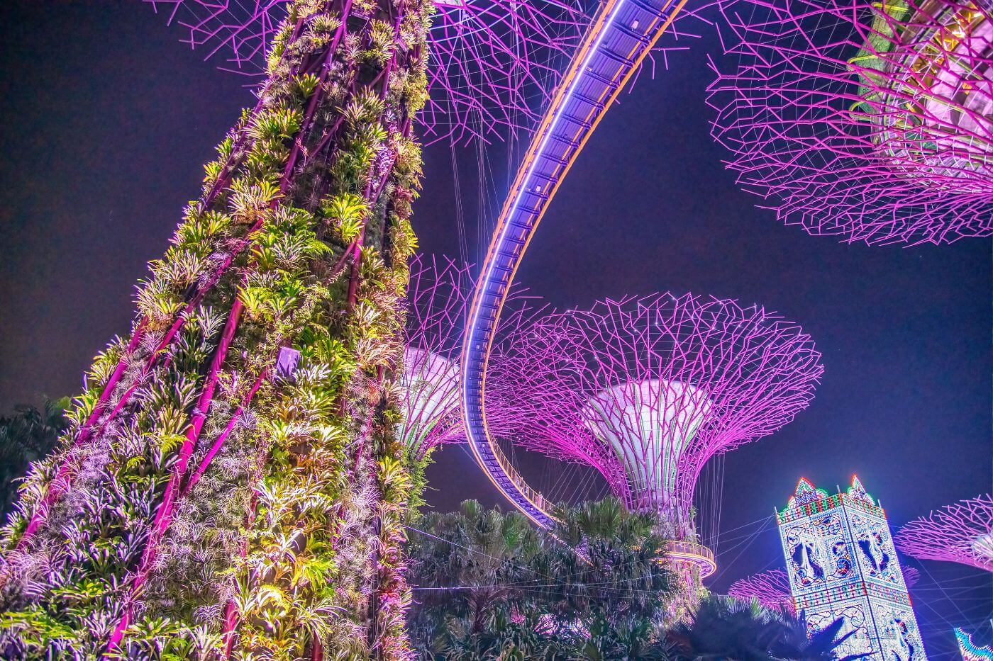 Supertree Grove-4 Things to do in Singapore - Supertree Grove